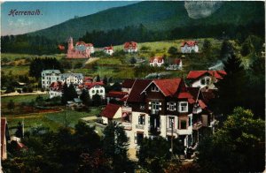 CPA AK Bad Herrenalb- GERMANY (903204)