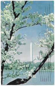 US Washington Monument & Cherry Blossoms with postage, mailed 1960