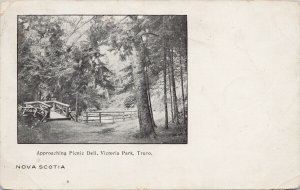 Truro Nova Scotia Victoria Park Picnic Dell c1910 Postcard G50 *as is