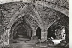 County Durham Postcard - Finchale Priory - Undercroft of Frater - Ref TZ5819
