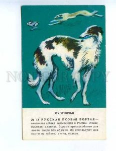 181751 Russian Borzoi by Glikman old postcard