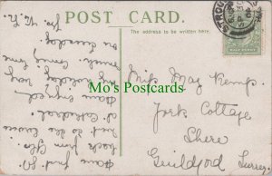 Genealogy Postcard - Kemp, York Cottage, Shere, Guildford, Surrey GL1366