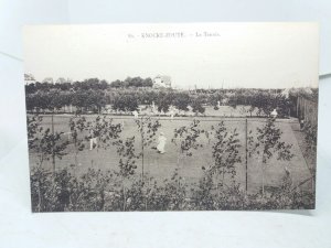 Un Partie de Tennis Knocke Zoute Belgium Vintage Postcard c1910 Match Game