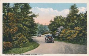 Beautiful Drive in Seneca Park, Rochester, New York - WB