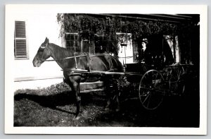 RPPC Woman Horse Drawn Buggy Creepy Face In Window c1950 Reprint Postcard T23