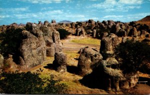 New Mexico City Of Rocks