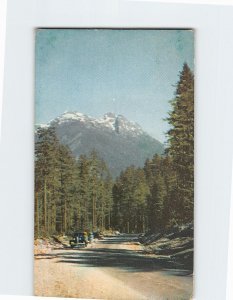 Postcard Mount Arrowsmith Alberni Canada