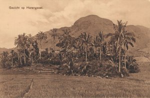 Indonesia Gezicht op Harangaoel Sumatra Haranggaol Vintage Postcard 07.54