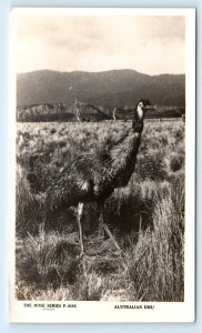 RPPC AUSTRALIA ~ Australian EMU c1940s Rose Series P 4395 Postcard