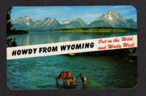 WY Howdy from WYOMING Wild & Wooly West Postcard Deer