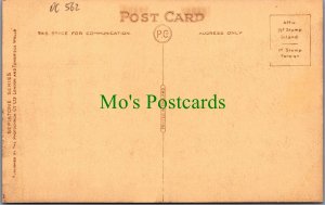 Suffolk Postcard - Lowestoft, The Promenade  DC562