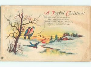 Divided-Back CHRISTMAS BIRDS SCENE Pretty Postcard W8543