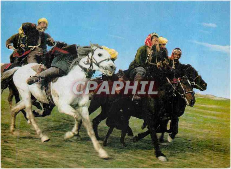 Modern Postcard the Afghan Buzkashi Game in Progress Horses