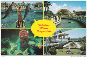 Dolphins Jumping, Shark Being Feed, Man Swimming With Eel, Monorail, Miami Se...