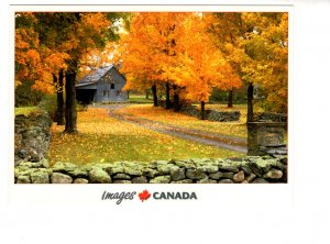 Large 5 X 7, Fall Scenery in Eastern, Canada,