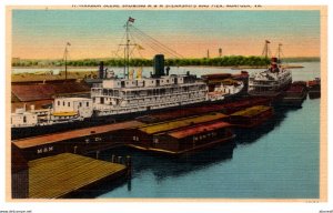 Virginia Norfolk M.M Steamships and Pier