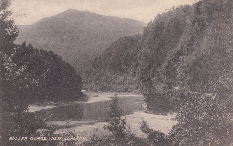 Buller Gorge Murchison New Zealand Antique Postcard