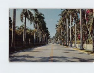 M-115728 Avenue of Palms Edison Winter Home Fort Myers Florida USA