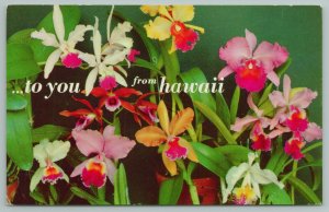 Hawaii~Nine Stunning Examples Of Island Orchids~To You From Hawaii~Vintage PC