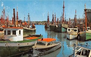 Gloucester Fishing Fleet in Gloucester, Massachusetts