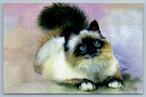 SWEET SIAMESE KITTY Cat with blue eyes by Starovoitova Russian Unposted Postcard