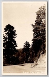 San Bernardino CA Rim O' The World Drive RPPC Real Photo Postcard Y24