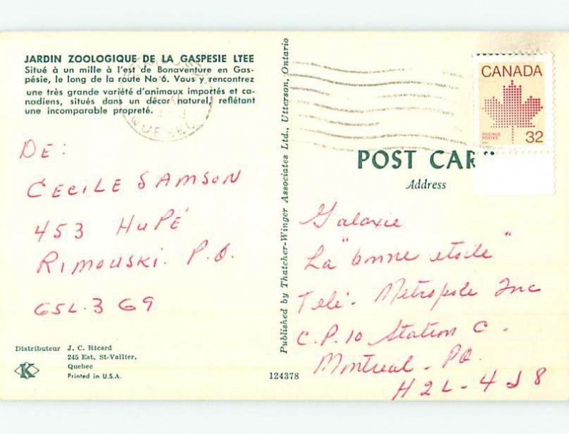 Chrome ZOO SCENE Gaspe Quebec QC AG1648