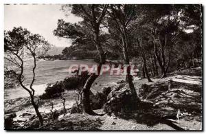 Postcard Modern Cote D & # 39Azur Chemin Du Bord De Mer