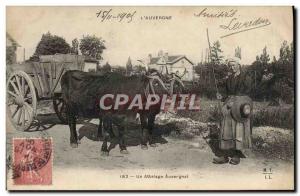 Postcard Old Hitch Auvergne Auvergne Oxen