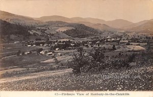 Birds Eye View - Roxbury in the Catskills, New York NY  