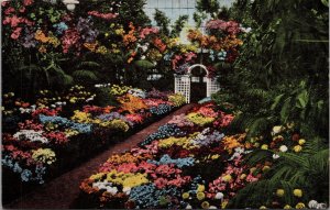 Interior of Greenhouse Shaw's Garden St. Louis MO Postcard PC412