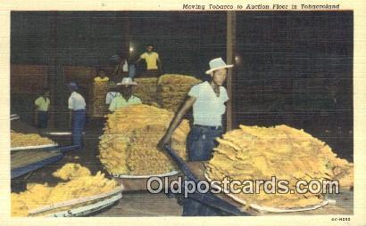 Moving Tobacco to Autction Floor Farming Postcard Post Card Tobaccoland Movin...