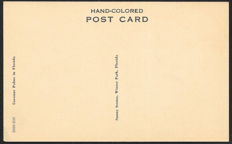 Sunny Scenes Winter Park Florida Unused c1920s
