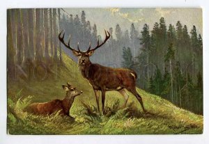 285552 HUNT Deer Forest by MULLER Mueller Vintage postcard