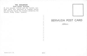 The Aquarium Flatts Bridge  Bermuda Postcard