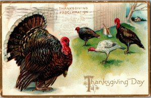 Tucks 123 Thanksgiving Day Turkeys, Proclamation Embossed Vintage Postcard W37