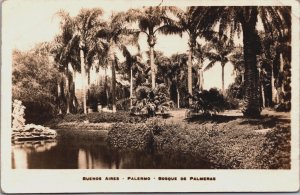 Argentina Buenos Aires Palermo Bosque De Palmeras Vintage RPPC C052