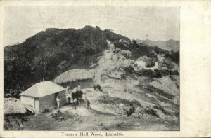 barbados, St. ANDREW, Turner's Hall Wood (1900s) Postcard