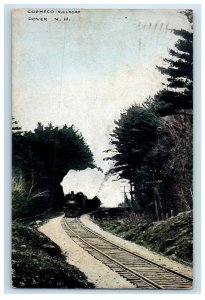 1909 Cocheck Road Railroad Train Dover New Hampshire NH Posted Antique Postcard