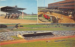 Finger Lakes Race Track Only thoroughbred track in Western NY Canandaigua, Ne...