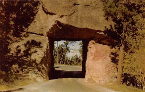 Tunnel on Iron Mountain Road Highway US 16 Black Hills SD 