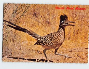 Postcard The Road Runner Clown of the West