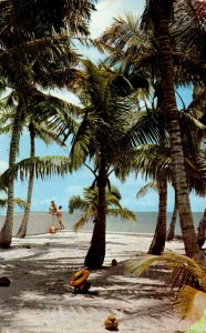 Florida Naples Beach Through Coconut Palms 1956