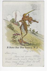 MOSQUITO PLAYING FIDDLE USED POSTCARD 1906 UDB NATIVE TUNE VAILSBURG NJ 