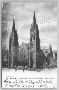 Cathedral Of The Immaculate Conception Catholic Albany NY C1901 Postcard J24