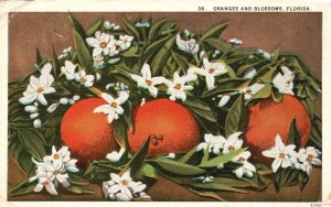 Vintage Postcard 1926 Oranges and Blossoms Tropical Florida Asheville Post Pub.