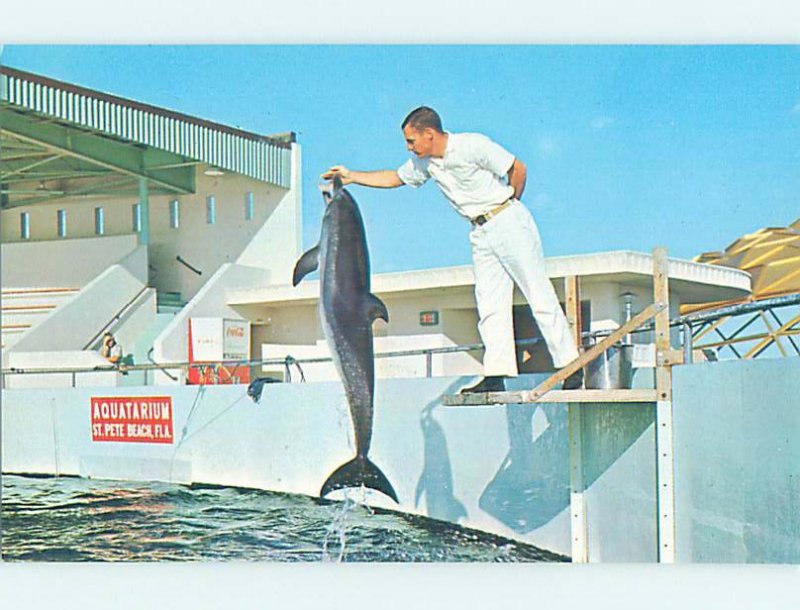 Pre-1980 JUMPING AT AQUARIUM TOURIST ATTRACTION St. Petersburg FL AF9082@