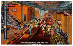 Louisiana New Orleans,  Unloading Bananas from ship side