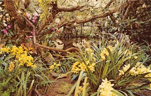 Philadelphia Flower and Garden Show Philadelphia Pennsylvania, PA