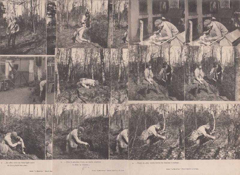 Lot 9 stereographic images stereo views pre 1920 hunting topic hunters poaching 